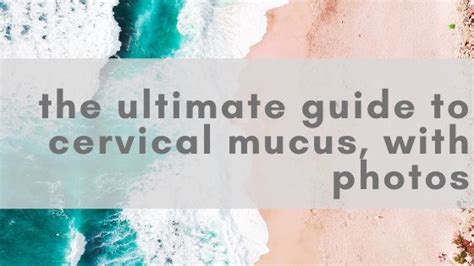 The Ultimate Guide To Cervical Mucus With Photos — Fertility Awareness