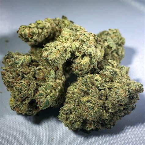 Strain Review Gorilla Glue By Dc Pharm The Highest Critic