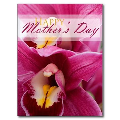 Pink Orchid For Mothers Day Postcard Pink Orchids Orchids Postcard
