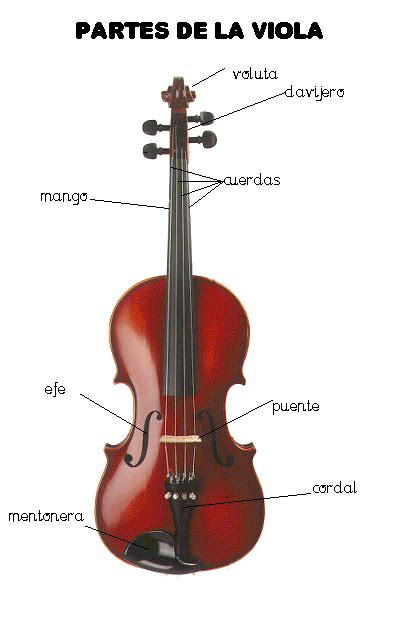 Viola Orquesta Sinfonica