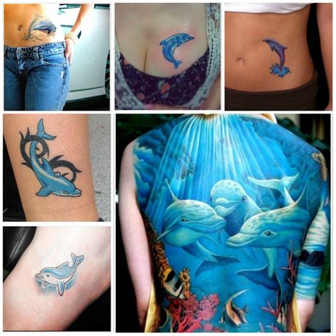 Cute Dolphin Tattoos Tattoo Ideas Gallery Designs For Men Hot Sex Picture