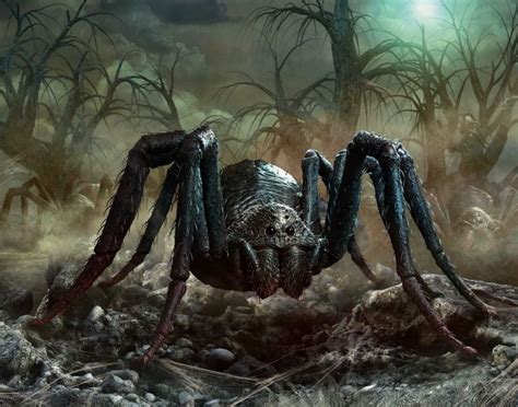 News In Spider Art Giant Spider Spider Illustration