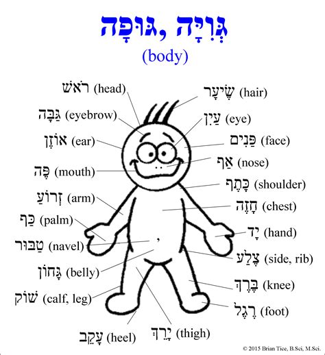 Pin On Hebrew Vocab