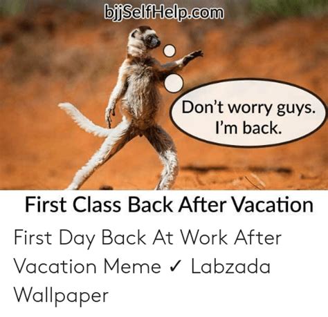 First Day Back From Vacation Meme Tour Holiday