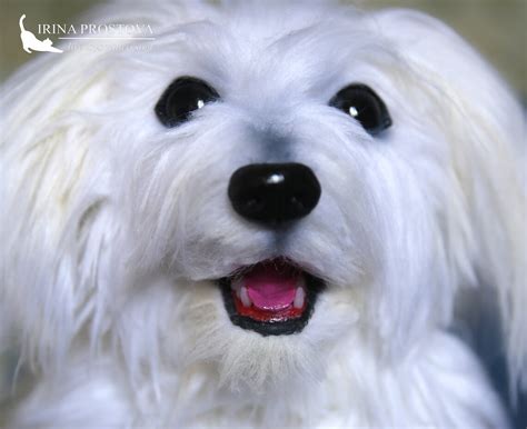 Maltese Dog Plush Toy For Example For Order Life Sized Etsy