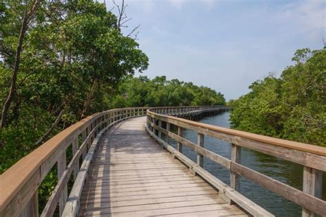 12 Best Hikes In Tampa You Shouldnt Miss Florida Trippers