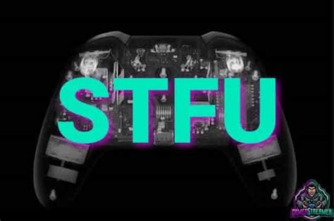 Stfu Gamer Streamer