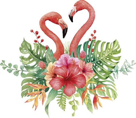 1 Result Images Of Tropical Flamingo Png PNG Image Collection