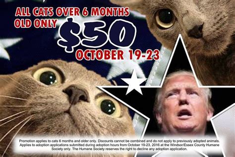 Humane society in Windsor apologizes for Donald Trump-inspired cat ...