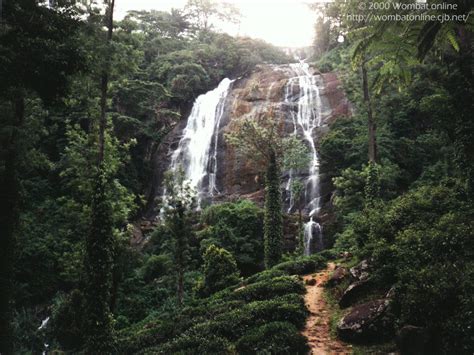 49+ Live Waterfall Wallpapers Free Download on ...