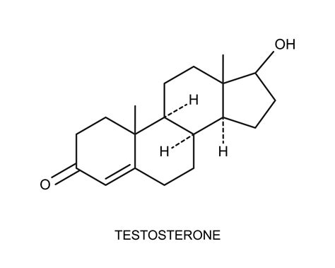 Icono De Testosterona Estructura Molecular Química Signo De Hormona Sexual Esteroide 15601767