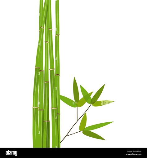Colorful Stems And Bamboo Leaves Vector Illustration Stock Vector
