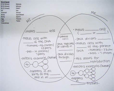 Maybe you would like to learn more about one of these? mitosis and meiosis - Google Search | School - Biology ...
