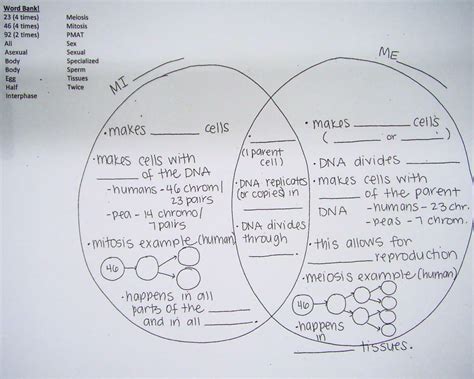 Comparing and contrasting mitosis and meiosis visit the following web pages to compare and contrast mitosis and meiosis. mitosis and meiosis - Google Search | Biology worksheet ...