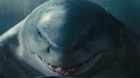 The Real Reason King Shark Isn't A Hammerhead Shark In The Suicide Squad