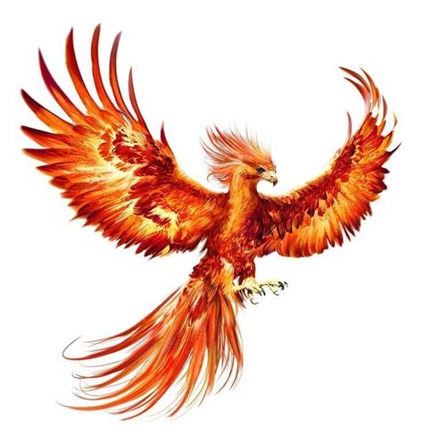 My favorite mythical bird, the Phoenix My favorite mythical bird, the ... - My favorite mythical ...