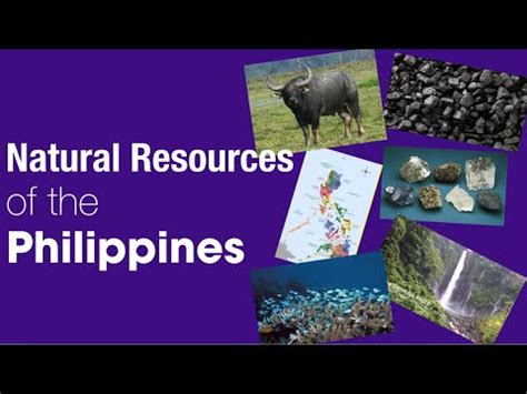 Natural Resources In The Philippines Youtube
