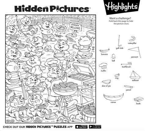 find   hidden objects   hidden pictures puzzle
