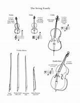 String Family Instruments Music Drawings Instrument Orchestra Symphony Lancaster Coloring Musical Worksheets Kids Colouring инструменты Violin Cello Printable Percussion Pages sketch template