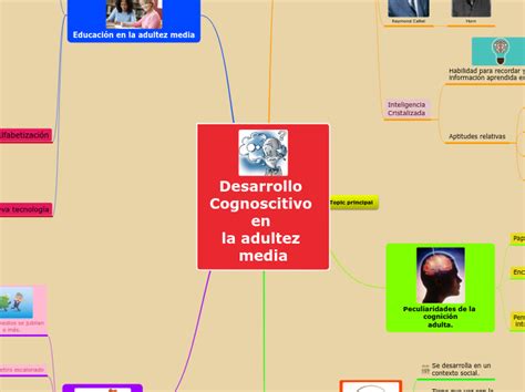 Desarrollo Cognoscitivo En La Adultez Medi Mind Map