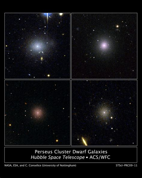 Perseus Cluster Dwarf Galaxies Hubblesite