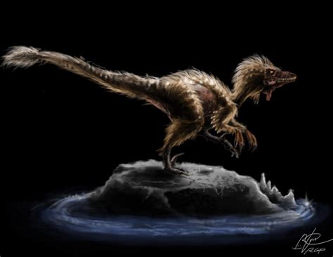 Velociraptor By Raphael041 On Deviantart