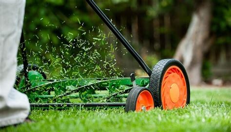 The 7 Best Reel Mowers For Homeowners Best Home Gear
