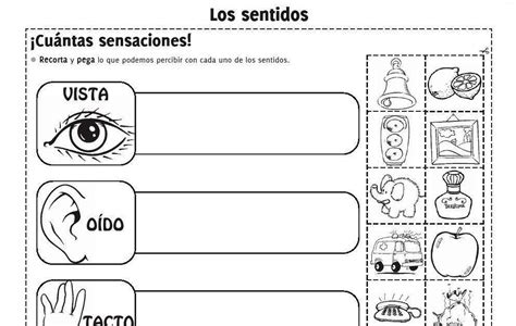 Actividades Para Imprimir Para Adultos