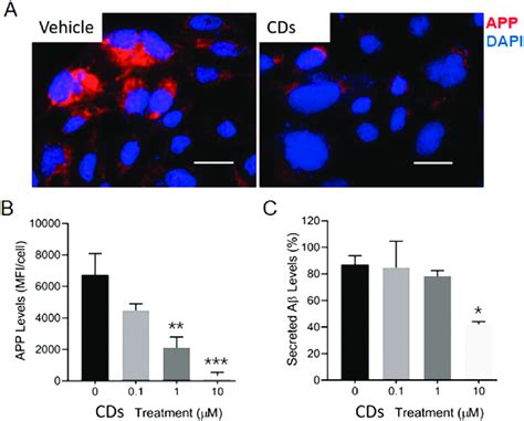 In Vitro Efficacy Of Y CDs The Chinese Hamster Ovary CHO Cells That