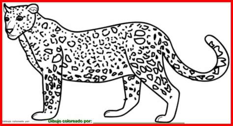 Dibujo De Jaguar Para Colorear E Imprimir