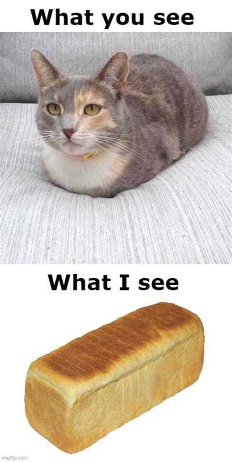 Thats A Huge Loaf Imgflip