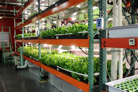 Advocates Pitch Vertical Farming To A City Council Ready To Help Whyy