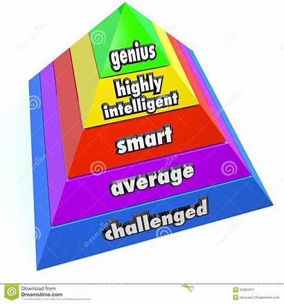 Intelligence Pyramid Level Levels Piramide Intelligent Smart
