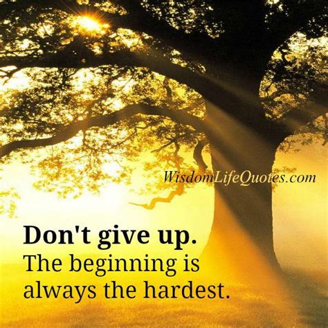 The Beginning Is Always The Hardest Wisdom Life Quotes