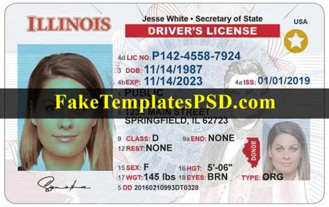 Illinois Driver License Template Psd 2024