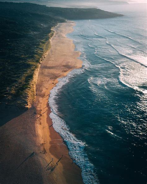 Report a feral cat on the feralcatscan app. Landscape Drone Photography : South Australia From Above ...
