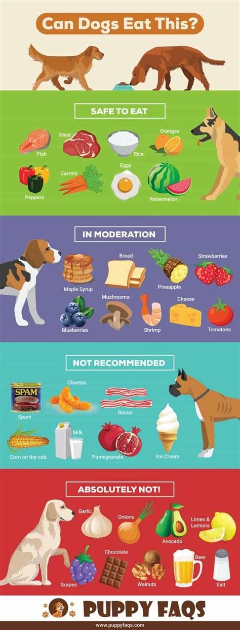 Can Dogs Eat This What You Need To Know Puppyfaqs