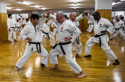 Shotokan Karate It Was 30 Years Ago Today Budo Japan Ttraditional