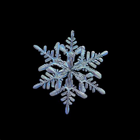 Macro Snowflake Photography