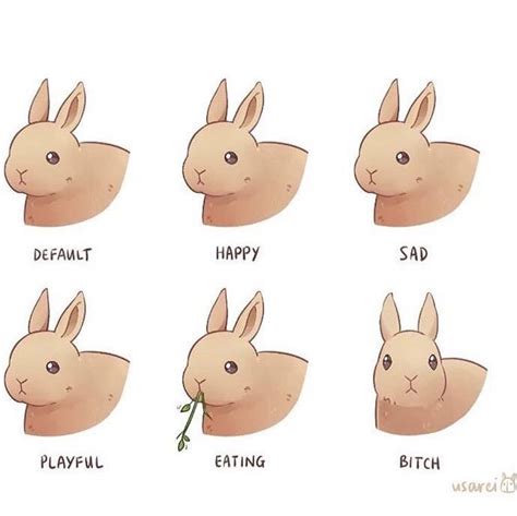 Funny Easter Memes To Make You Happy Artofit