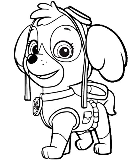 Paw patrol interesting facts and coloring sheets: Paw Patrol Coloring Pages - Best Coloring Pages For Kids