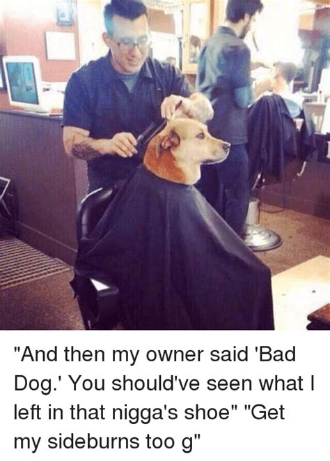 And Then My Owner Said Bad Dog You Shouldve Seen What I Left In That