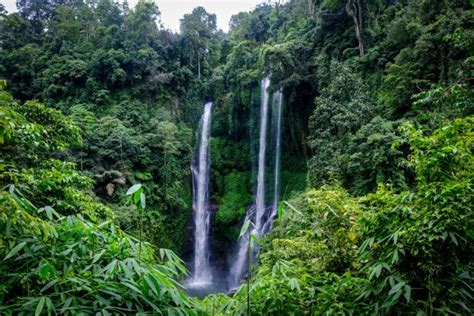 Sekumpul Waterfall Bali Biggest And Best Twin Waterfall