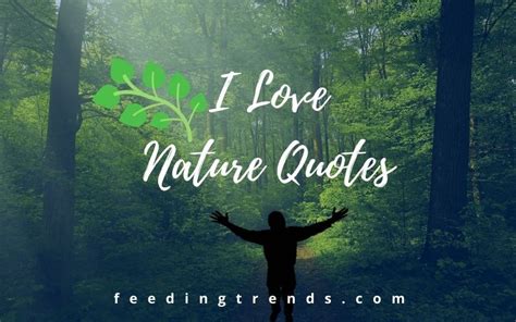 70 I Love Nature Quotes For Every Nature And Greenery Lover