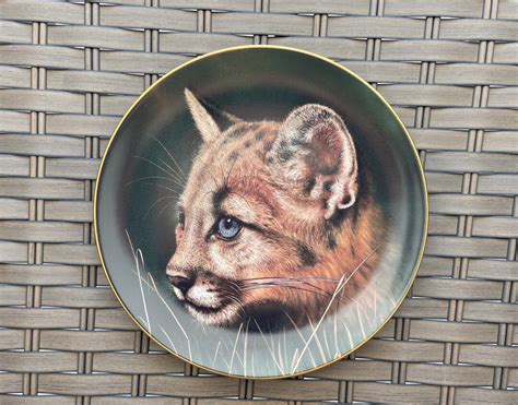 cougar cub cubs of the big cats qua princeton gallery etsy