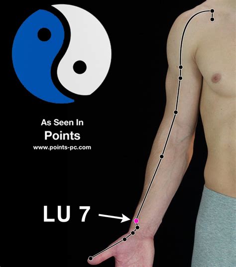 Acupuncture Point Lung 7 Lu 7 Acupuncture Technology News