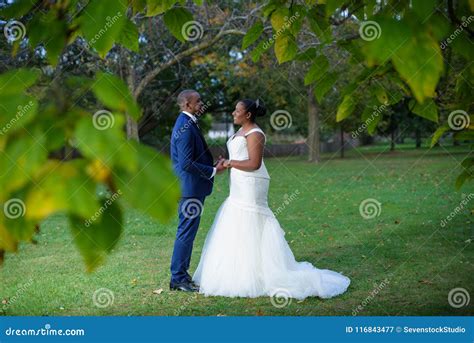 Bride And Groom Facing Each Other And Holding Hands Stock Image Image