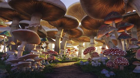 Mushroom Forest Wallpaper (64+ images)