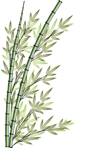 Dessin Vectoriel Arbre Bambou Image Vectorielle Par Wenpei