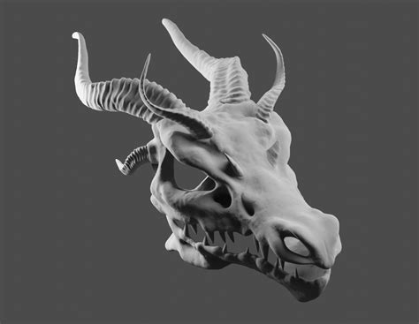 3d Model Dragon Skull Cgtrader